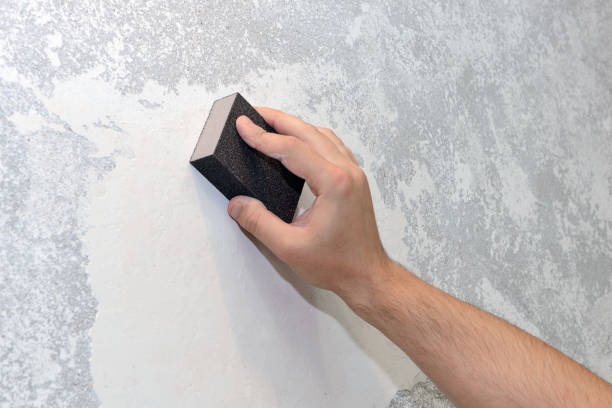 Best Water Damage & Mold Remediation  in Livingston, TN
