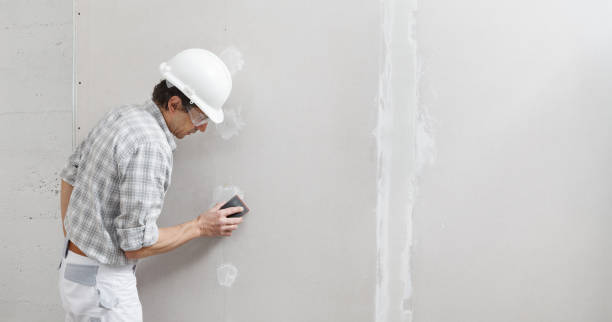 Best Basement Mold Removal  in Livingston, TN
