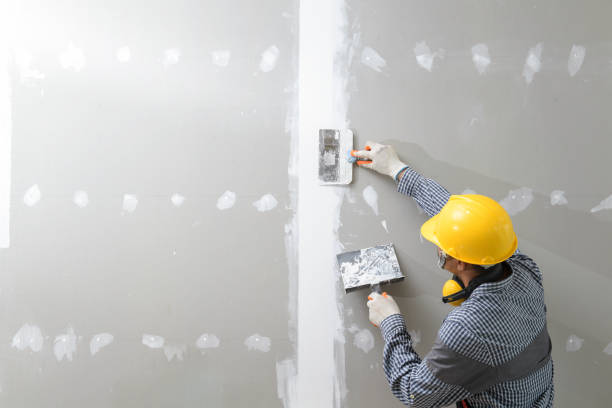 Best Asbestos and Lead Testing During Mold Inspection  in Livingston, TN