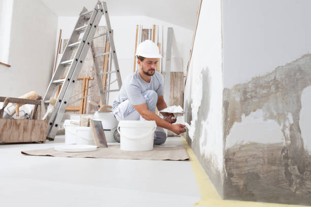 Best Attic Mold Removal  in Livingston, TN