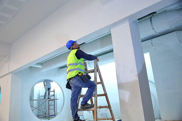 Best Black Mold Removal  in Livingston, TN